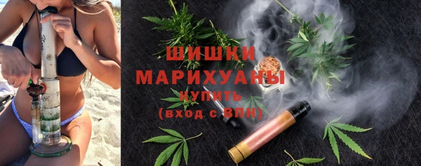 амф Аркадак