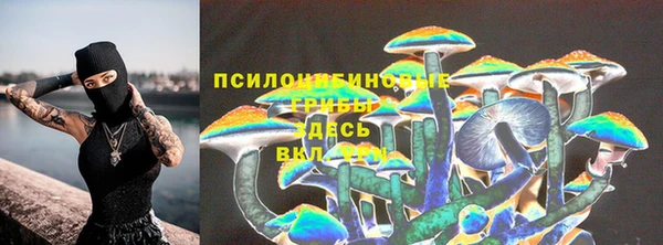 дживик Армянск