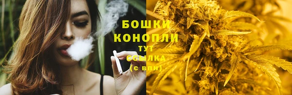 амф Аркадак
