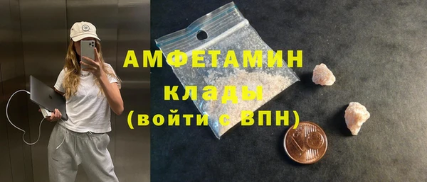 амф Аркадак